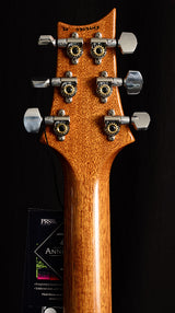 Paul Reed Smith Hollowbody II Faded Whale Blue Smoke Wrap