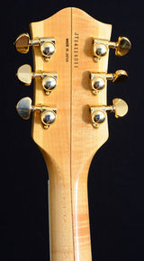 Used Gretsch G6120AM Pro Chet Atkins Flame Maple-Brian's Guitars