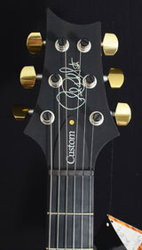 Paul Reed Smith Employee Artist Custom 24 Violet-Brian's Guitars