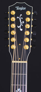 Used Taylor 954ce 12 String-Brian's Guitars