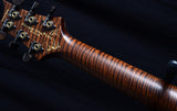 Paul Reed Smith Private Stock McCarty 594 Buckeye Burl-Brian's Guitars