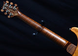 Paul Reed Smith Private Stock Special Koa-Brian's Guitars