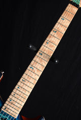 Paul Reed Smith Private Stock Floyd Custom 24 Subzero Glow Smoked Burst-Brian's Guitars