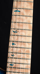Paul Reed Smith Private Stock Floyd Custom 24 Subzero Glow Smoked Burst-Brian's Guitars
