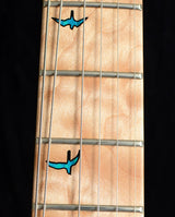 Paul Reed Smith Private Stock Floyd Custom 24 Subzero Glow Smoked Burst-Brian's Guitars