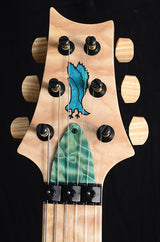 Paul Reed Smith Private Stock Floyd Custom 24 Subzero Glow Smoked Burst-Brian's Guitars