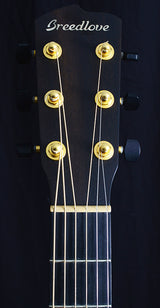 Used Breedlove Oregon Parlor Burst-Brian's Guitars