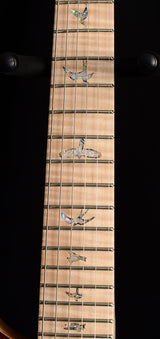 Paul Reed Smith Wood Library Artist Custom 24 Brian's Guitars 10th Anniversary Limited Zombie Fade