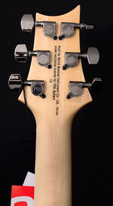 Paul Reed Smith SE Mark Holcomb Trampas Green Limited Run-Brian's Guitars