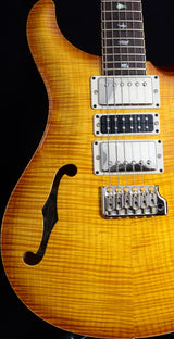 Paul Reed Smith Private Stock Super Eagle-Brian's Guitars