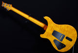 Paul Reed Smith Private Stock Super Eagle-Brian's Guitars