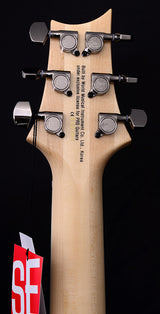 Paul Reed Smith SE Mark Holcomb Satin Trampas Green Limited Run-Brian's Guitars