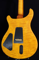 Paul Reed Smith Private Stock Super Eagle-Brian's Guitars