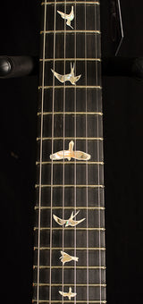 Paul Reed Smith Floyd Custom 24 Violet Blue Burst-Brian's Guitars