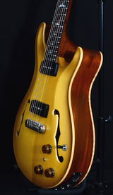 Paul Reed Smith Employee Private Stock Built Archtop-Brian's Guitars