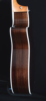 Taylor 412ce-R Rosewood-Brian's Guitars