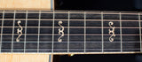 Taylor Special Edition Walnut GC 12-Fret-Brian's Guitars