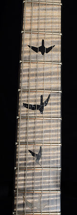 Paul Reed Smith Private Stock Custom 24-08 Frostbite Fade-Brian's Guitars