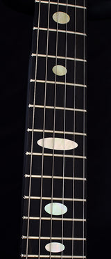 Alembic Darling Spalted Maple-Brian's Guitars