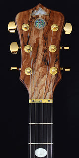 Alembic Darling Spalted Maple-Brian's Guitars