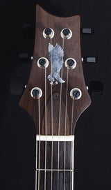 Paul Reed Smith Private Stock Super Eagle-Brian's Guitars