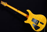 Paul Reed Smith Private Stock Super Eagle-Brian's Guitars