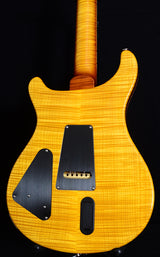 Paul Reed Smith Private Stock Super Eagle-Brian's Guitars