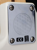 Fender Ed O'brien Sustainer Stratocaster-Brian's Guitars