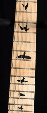 Paul Reed Smith DW CE 24 Floyd Dustie Waring Signature Gray Black-Electric Guitars-Brian's Guitars