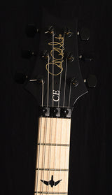 Paul Reed Smith DW CE 24 Floyd Dustie Waring Signature Gray Black-Electric Guitars-Brian's Guitars