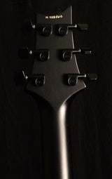 Paul Reed Smith DW CE 24 Floyd Dustie Waring Signature Gray Black-Electric Guitars-Brian's Guitars