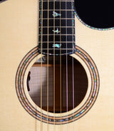 Paul Reed Smith Private Stock Angelus Northern Lights-Brian's Guitars