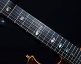 Used Alembic Darling Cocobolo-Brian's Guitars