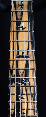 Paul Reed Smith Private Stock Custom 24-08 Pale Moon Ebony-Brian's Guitars