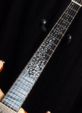 Paul Reed Smith Private Stock McCarty 594 Nightfall Brian's Exclusive-Brian's Guitars