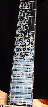 Paul Reed Smith Private Stock McCarty 594 Nightfall Brian's Exclusive-Brian's Guitars