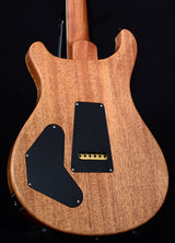 Paul Reed Smith Wood Library DGT Brian's Limited Faded Blue Jean-Brian's Guitars