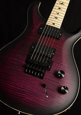 Paul Reed Smith DW CE 24 Floyd Dustie Waring Signature Waring Burst-Brian's Guitars