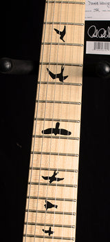 Paul Reed Smith DW CE 24 Floyd Dustie Waring Signature Waring Burst-Brian's Guitars