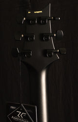 Paul Reed Smith DW CE 24 Floyd Dustie Waring Signature Waring Burst-Brian's Guitars