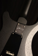 Paul Reed Smith DW CE 24 Floyd Dustie Waring Signature Waring Burst-Brian's Guitars