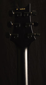 Used Paul Reed Smith DW CE 24 Floyd Dustie Waring Signature Waring Burst 2020-Brian's Guitars