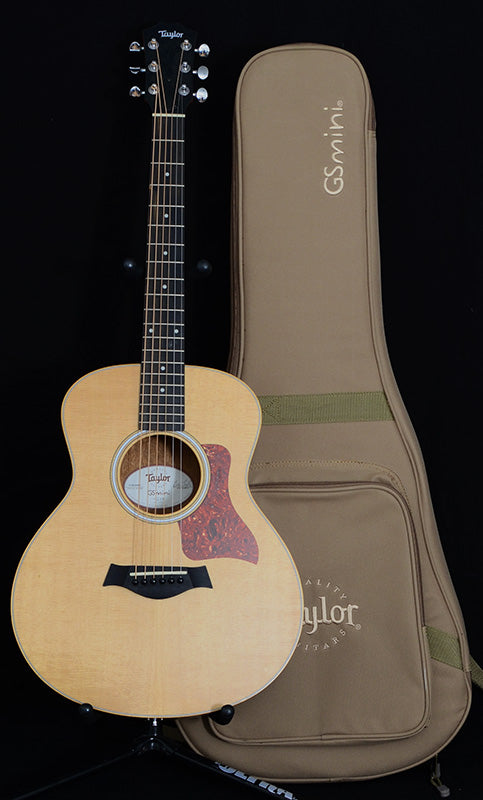 Used Taylor GS Mini-Brian's Guitars