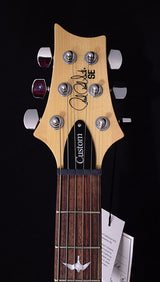 Paul Reed Smith SE Custom 24 2018 Trampas Green-Brian's Guitars