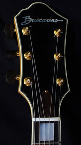 Used Buscarino Gigmaster-Brian's Guitars