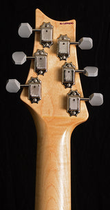 Paul Reed Smith Silver Sky John Mayer Signature Model Orion Green-Brian's Guitars