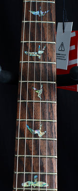 Paul Reed Smith SE Paul's Guitar Fire Red-Brian's Guitars