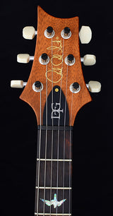 Used Paul Reed Smith Wood Library DGT Brian's Guitars Limited Copper-Brian's Guitars