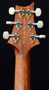 Used Paul Reed Smith Wood Library DGT Brian's Guitars Limited Copper-Brian's Guitars