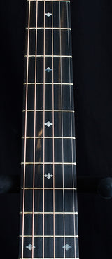 Taylor 214ce DLX Deluxe-Acoustic Guitars-Brian's Guitars